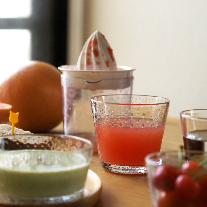 イッタラ　ツンドラ　タンブラー　290ml　クリア　/　iittala　Tundra